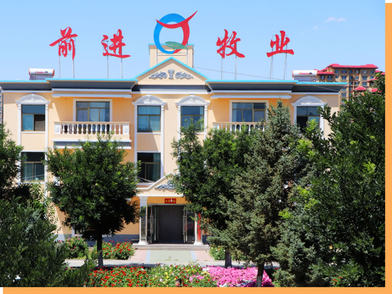 甘肅前進現代農業發展集團